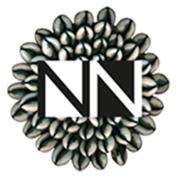 El Legado de Nubenegra